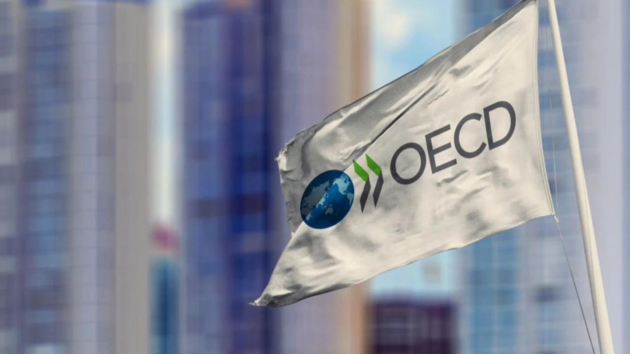 OECD: Göç 2022'de benzeri görülmemiş seviyeye ulaştı