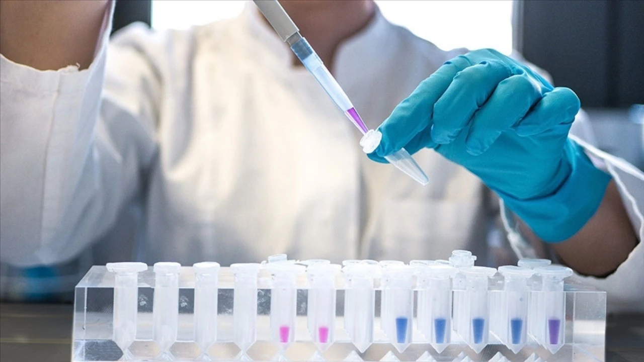 HIV erken tanı ve tedaviyle \"yönetilebilir\" bir hastalık