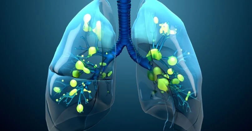 Gates Foundation'dan Leyden Labs'e 40 Milyon Euro Destek