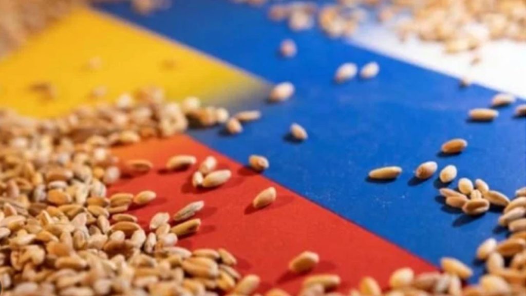 Rusya, Somali ve Burkina Faso’ya ücretsiz tahıl gönderdi