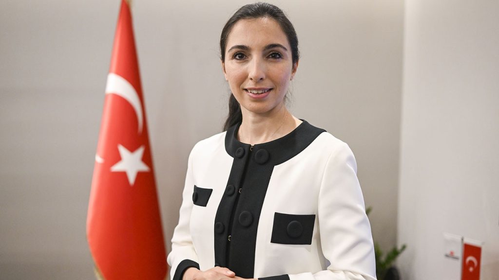 Merkez Bankası Başkanı Erkan: Parasal sıkılaşmanın bir müddet daha korunması lazım