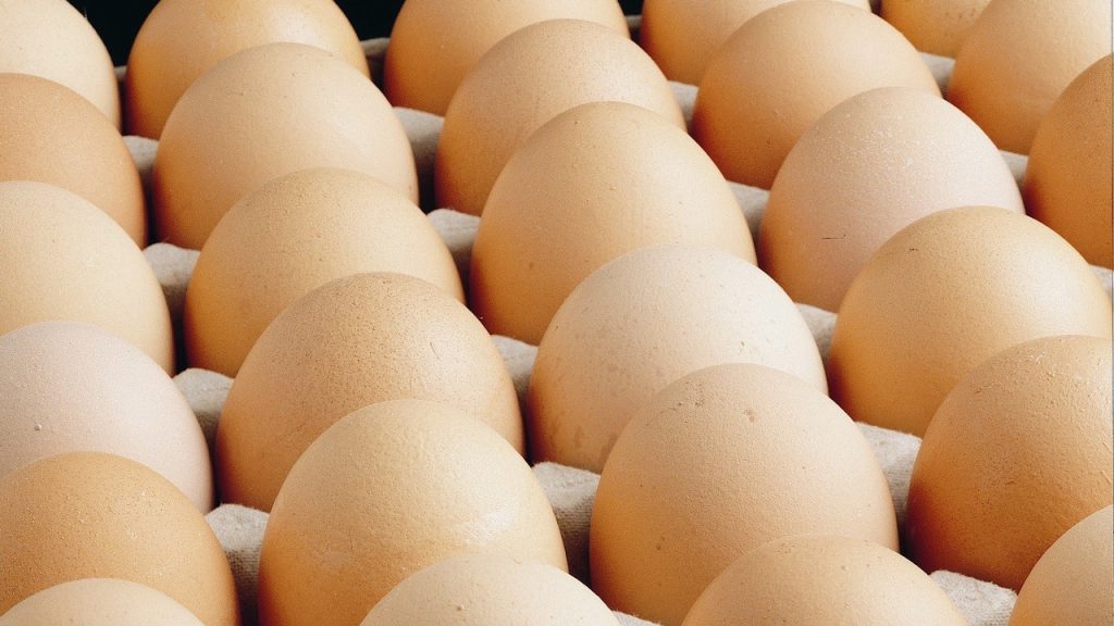 Rusya’nın Türkiye’den ithal ettiği yumurtalar ülkeye ulaştı