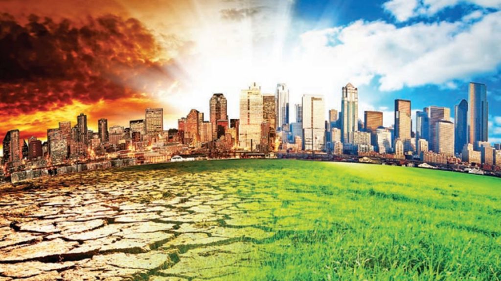 “Çandarlı Limanı Denizüstü RES Limanı olmalı”