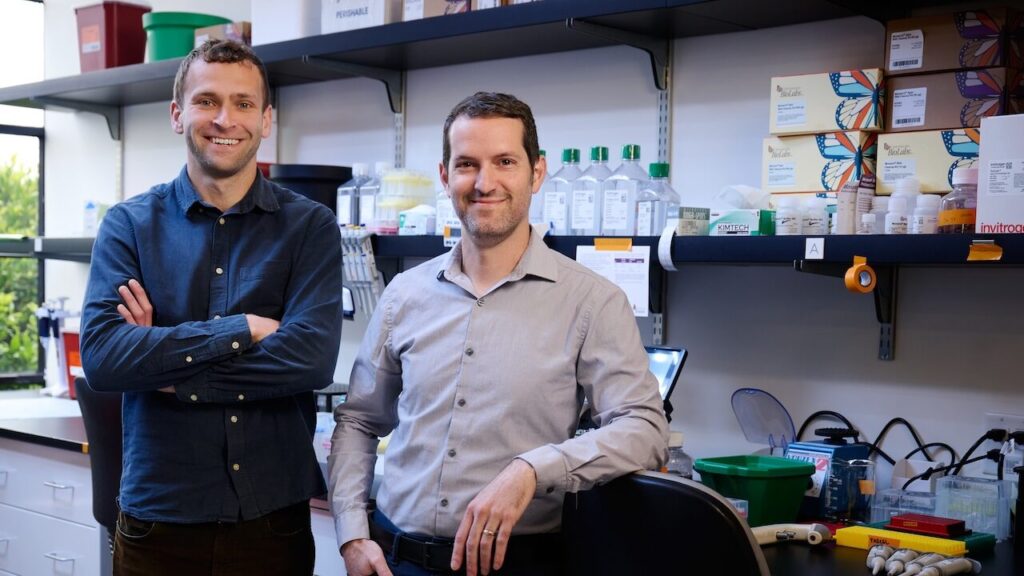ParcelBio mRNA platformu için yatırım aldı